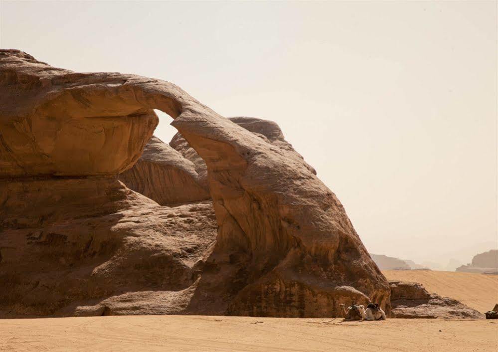 Wadi Rum Caravan Camp Luaran gambar
